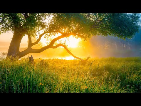 Beautiful Relaxing Guitar Hymns, Peaceful Instrumental Music