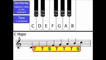 Tones and Semitones (Whole and Half Steps): A Comprehensive Guide to Music Theory