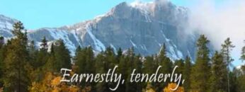 Softly and Tenderly