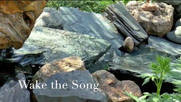 Wake the Song