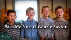 Pass me not, O gentle Savior