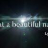 What A Beautiful Name